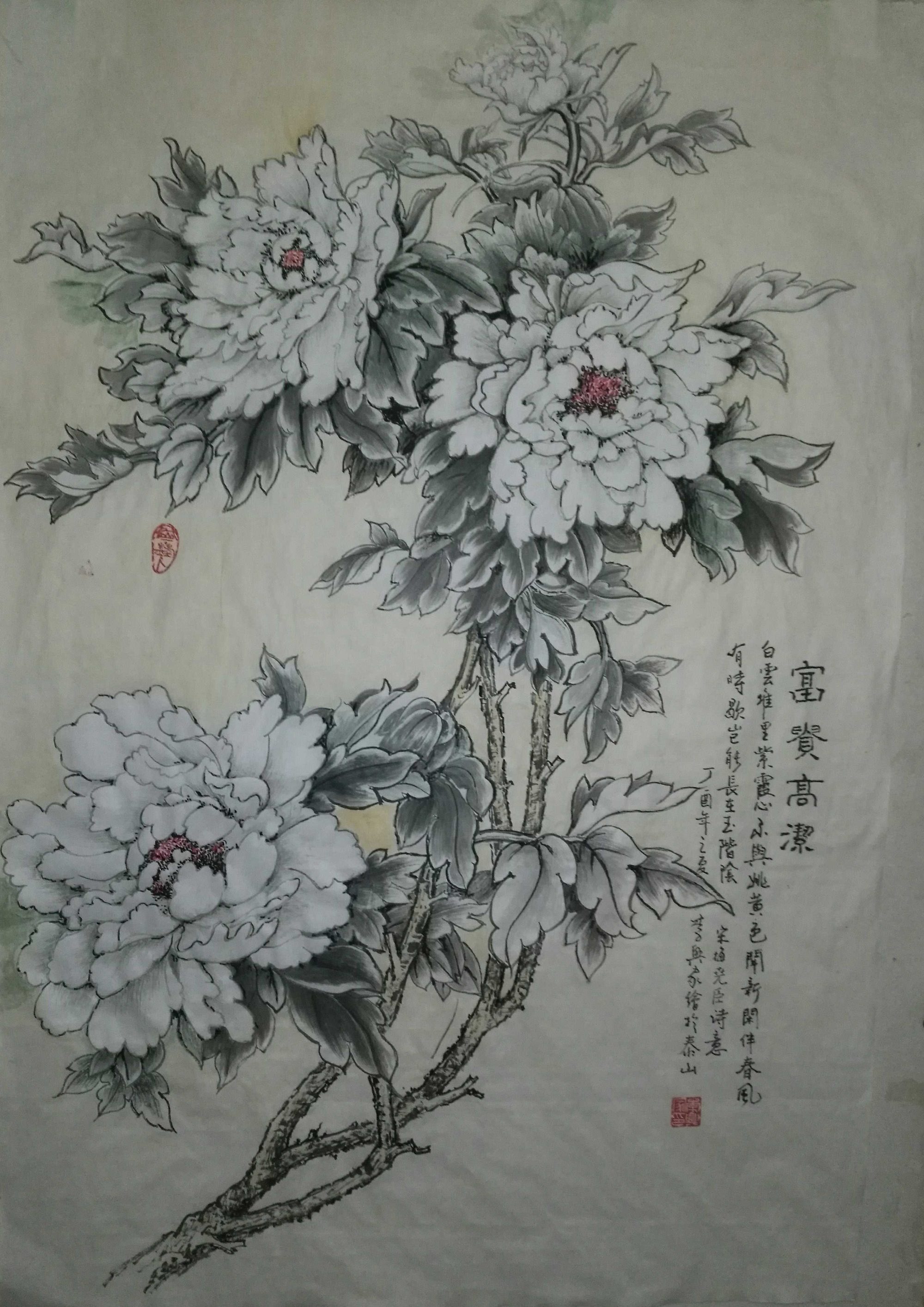白牡丹